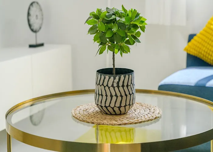 Apartment Sea View Sunset 3c *